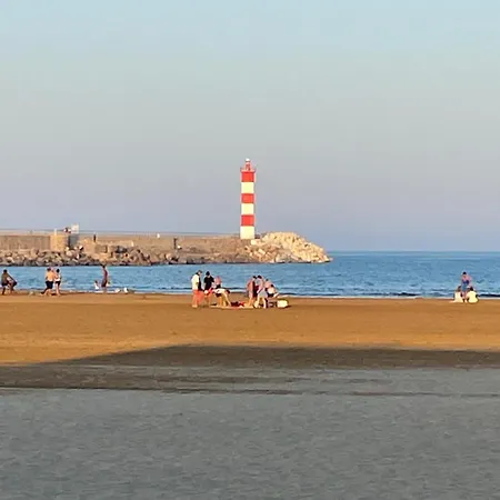 La Terrasse Du Goeland, 50 M De La Port-la-Nouvelle